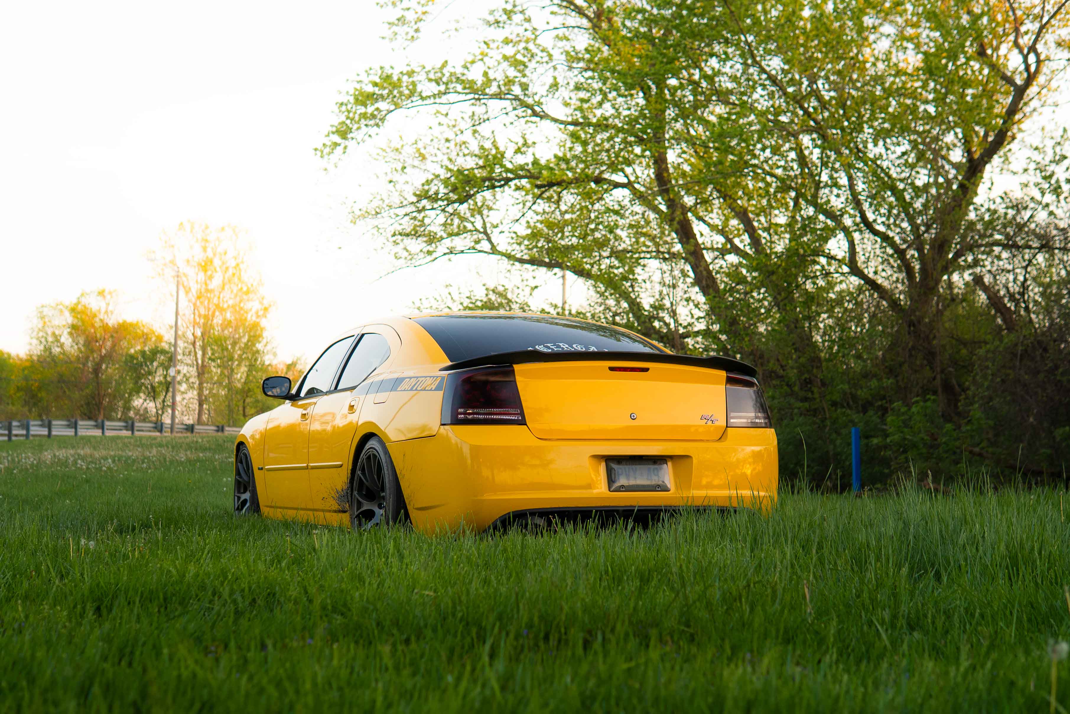 Rear 3/4 view of Dodge Daytona in golden hour light, Windsor
